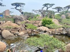 -罗红摄影艺术馆