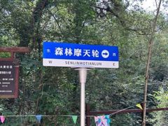-渡海小渔村.老辈日照菜