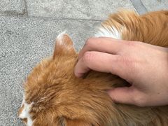 -白云观