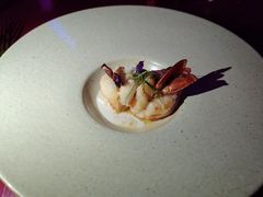 -酥园·下午茶·中西式简餐·篝火音乐啤酒节(丽江金茂隐逸·凯悦臻选酒店)