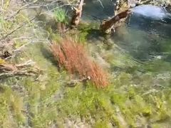 -九寨沟-树正沟