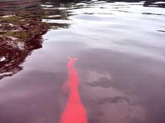-天目湖涵田半山温泉