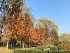 -北坞公园