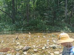 -吃饭皇帝大·土家民族菜(武陵源店)