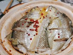 -1937青岛老味道·海肠捞饭·青岛菜(大鲍岛栈桥店)