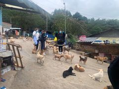 -成都爱之家动物救助中心