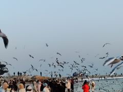 -老虎石海上公园