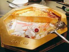 -蜀九香火锅(彩虹店)