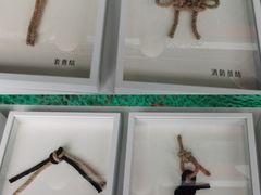 -舟山博物馆