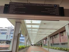 -香港大学