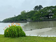 -江心屿景区