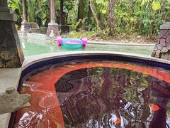 -碧桂园润杨溪谷温泉酒店