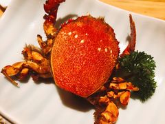 -悦和餐厅(CBD玉米楼店)