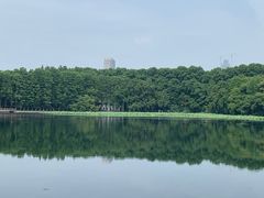 -东湖听涛景区