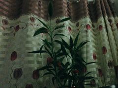 -佰推·肩颈腰·推拿理疗(湾悦城店)