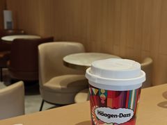 -哈根达斯(深圳海岸城店)