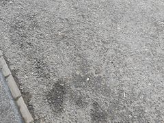 -鲜得莱渔港·小平岛海胆馆(七贤岭店)