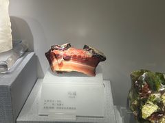 -湖南省地质博物馆