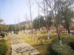-鹦鹉寺公园