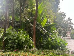 -荔湾湖公园