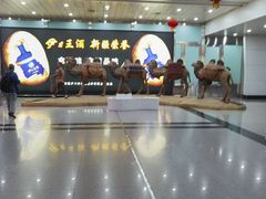 -乌鲁木齐天山国际机场-T3航站楼