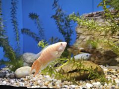 -上海海洋水族馆