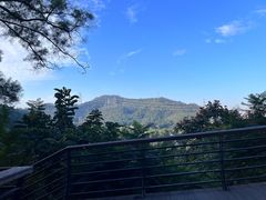 -深圳仙湖植物园