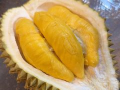 -油麻地果栏