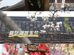 -莫愁湖公园