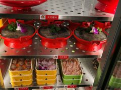 -钢管厂五区小郡肝火锅串串香(总店)