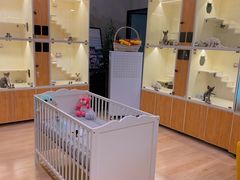 -十年猫舍·猫咪专门店(普陀店)