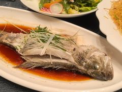 -凤凰园烤鸭店·唐山菜·传承花椒肉(老唐丰路店)