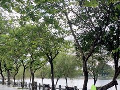 -东山湖公园