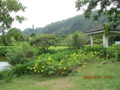 -南沙蒲洲花园