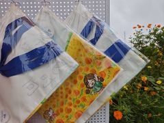 -杭州湾海上花田景区