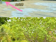 -惠和石文化园