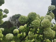 -合肥三国新城遗址公园