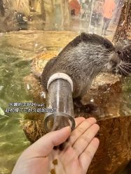 -Zoolung Zoolung动物主题公园(海信广场店)