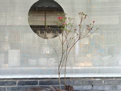 -曲廊院(东四十一条店)