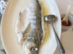 -西湖春天•老字号杭州菜(百汇店)