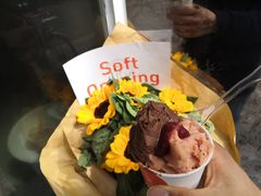 -DIP in GELATO(富民路店)