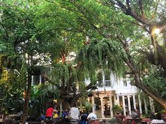 -Fern Forest Cafe