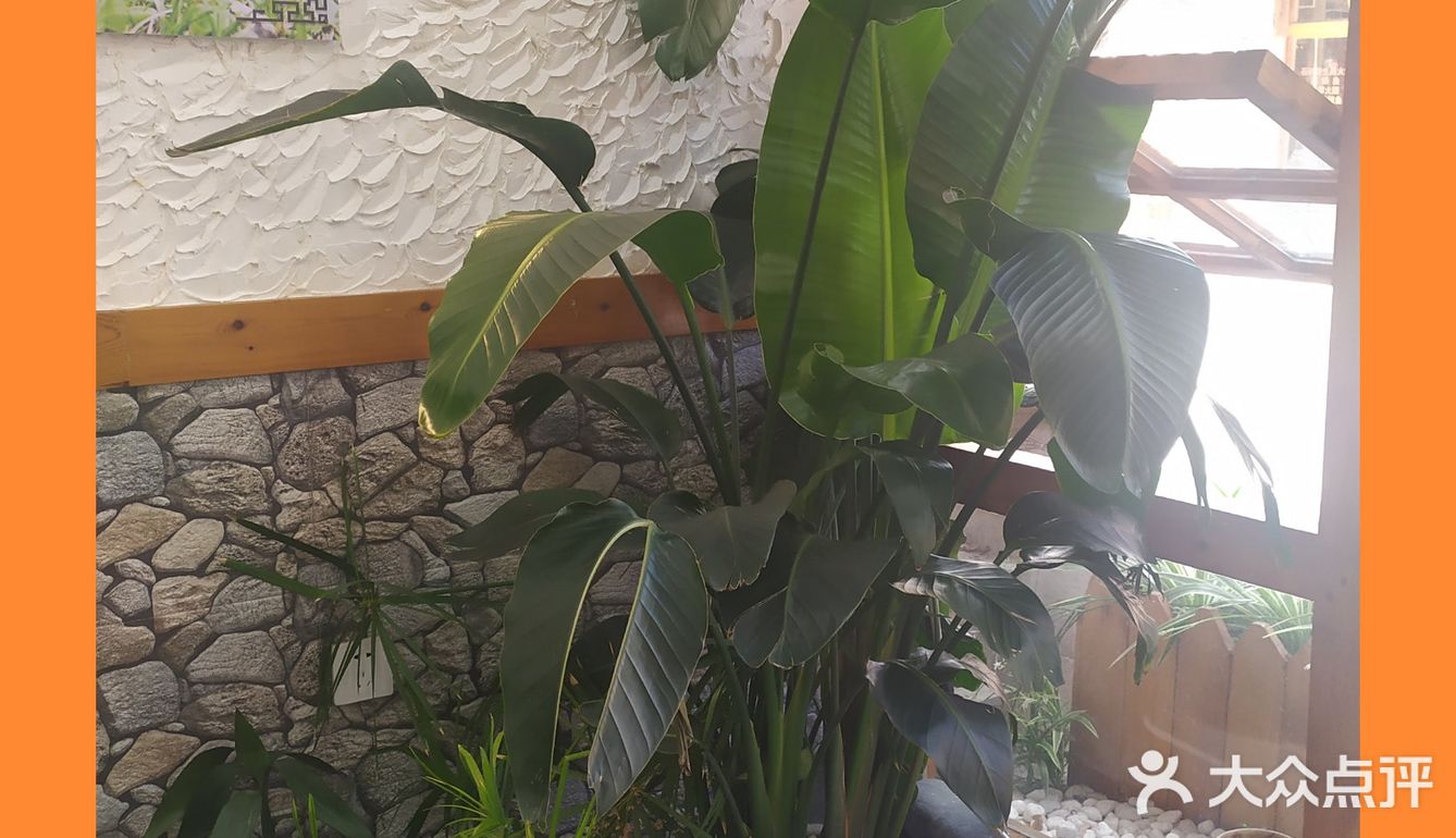 大理探店—阿鹏故事野生菌火锅