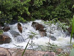 -广州白江湖森林公园