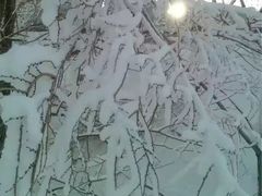-八达岭滑雪场