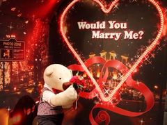 -济州岛泰迪熊博物馆