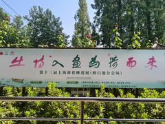 -上海醉白池公园