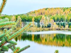 -塞罕坝国家级自然保护区