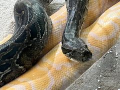 -大连森林动物园