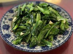 油麦菜-生态苑农庄(十里画廊遇龙河店)